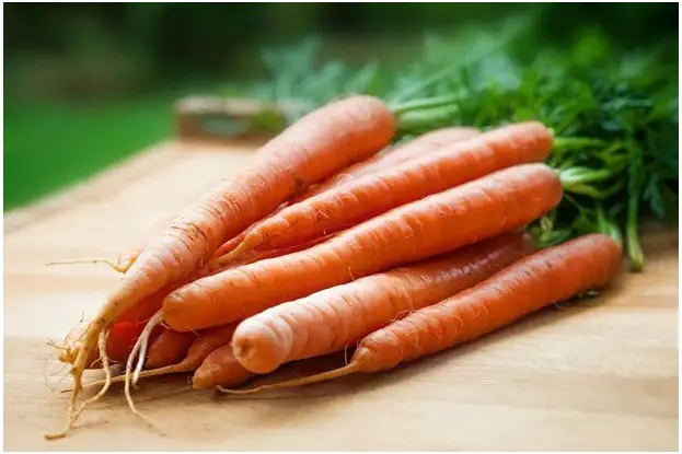 Carrot-Foods That Prevent Hair Loss