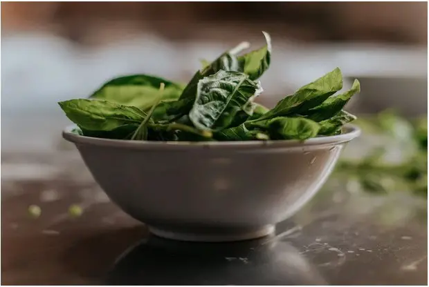 Spinach-Foods That Prevent Hair Loss
