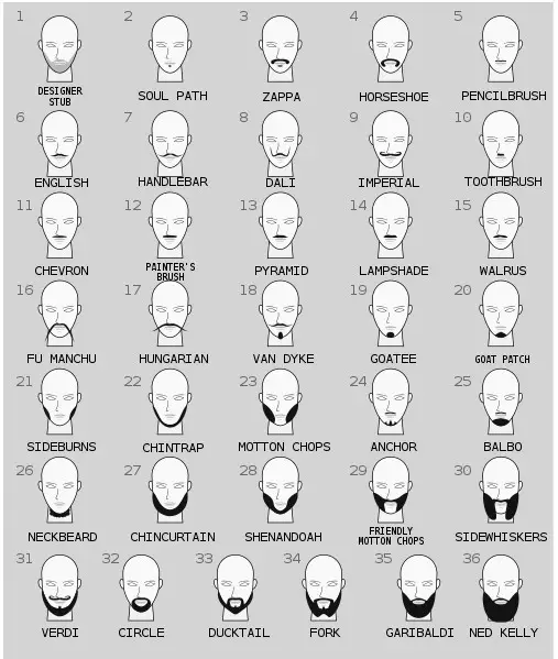 different types of facial hair growth pictures