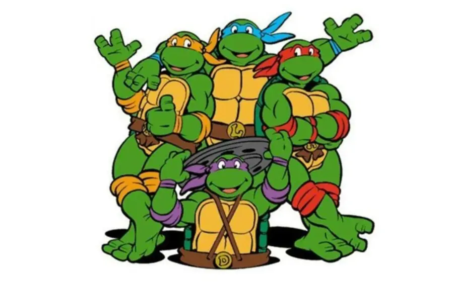 The Teenage Mutant Hero Turtles
