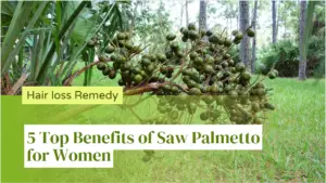 Saw Palmetto for Hair Loss in Females