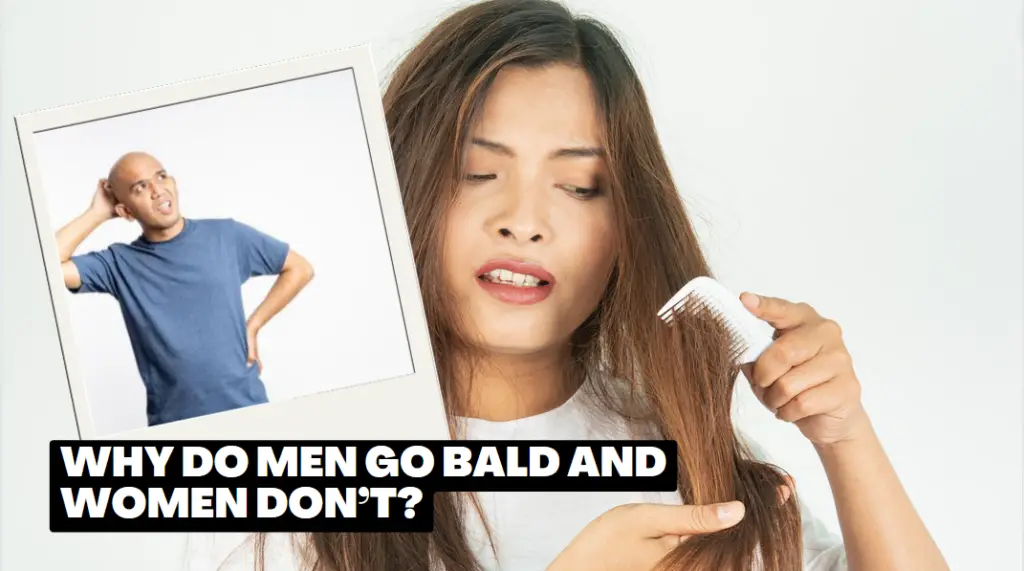 Why Do Men Go Bald And Women Don't