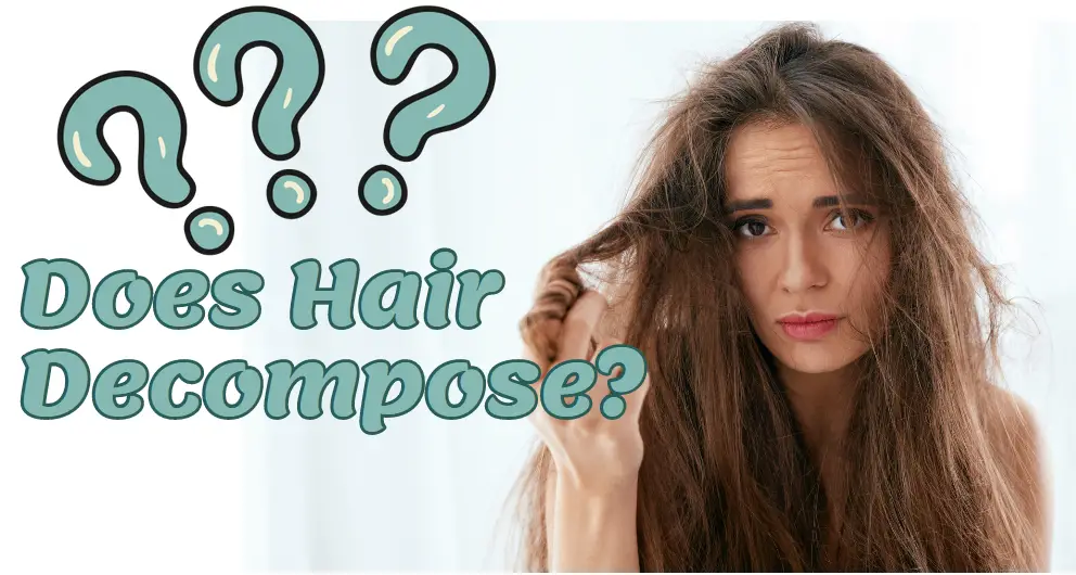 Does Hair Decompose