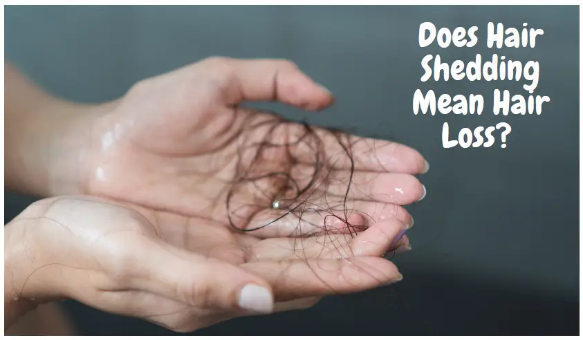 Does Hair Shedding Mean Hair Loss