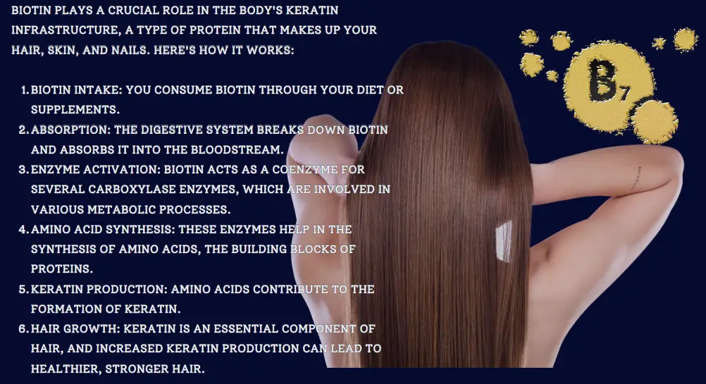  Image illustrating the role of benefits of biotin and keratin