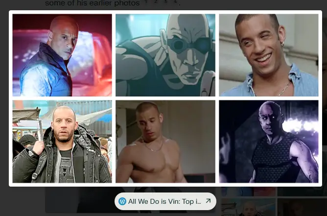  A compilation of Vin Diesel's hairstyles in different movies
