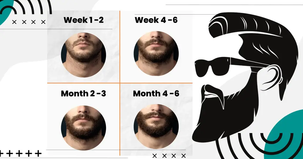 Beard growing stages pictures