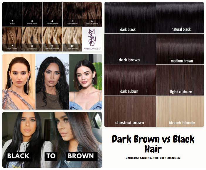 Dark Brown vs Black Hair