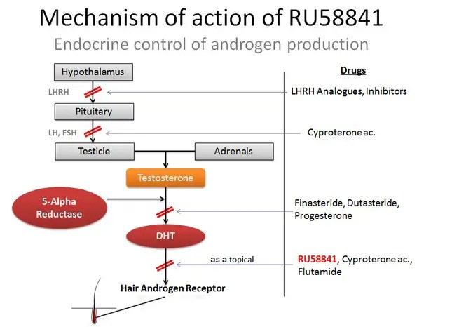 RU58841 how it work